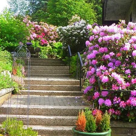 Couette-café Walhalja 3*